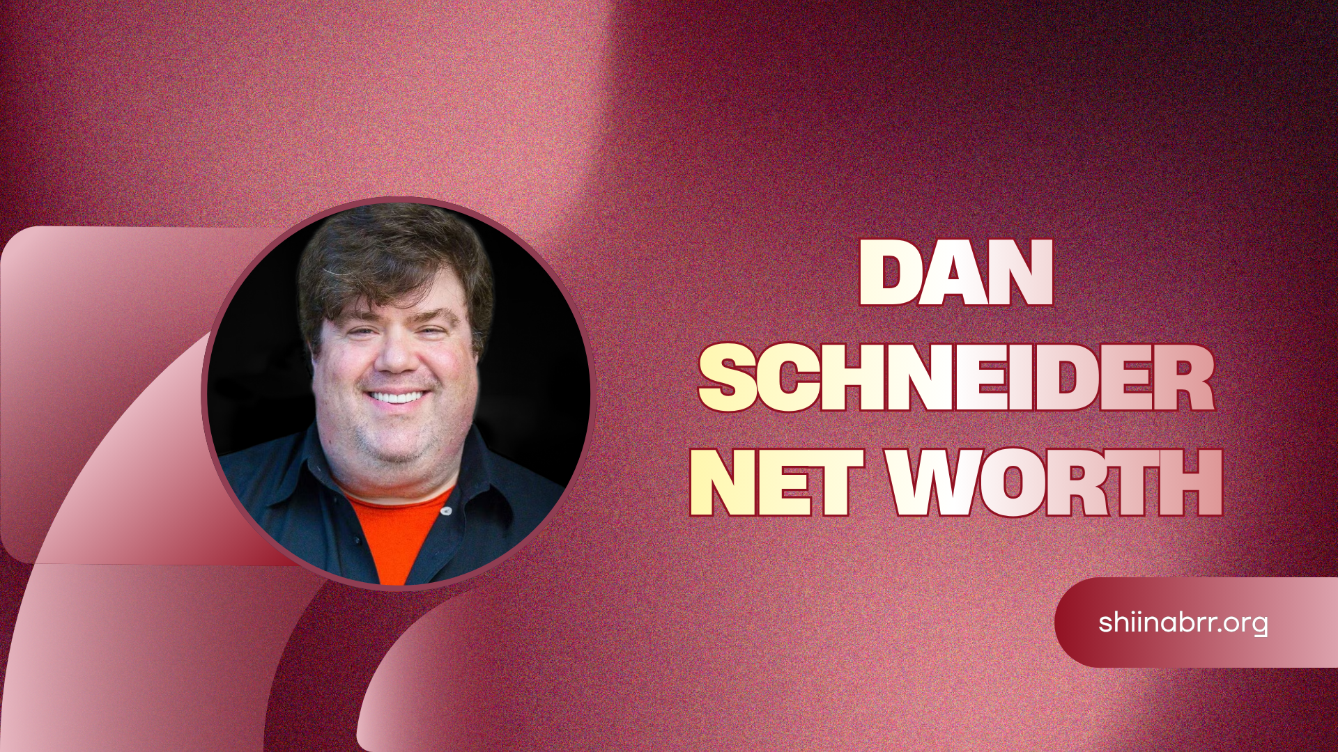 dan schneider net worth